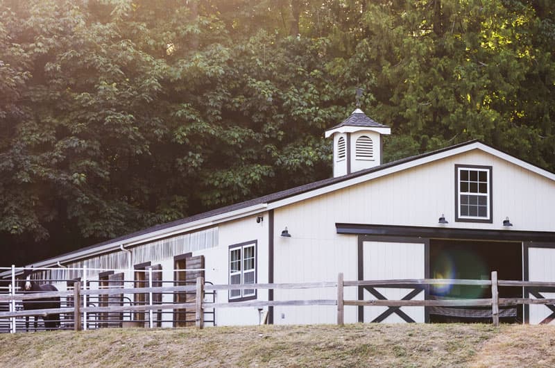 A barn exterior with a horse standing at the fence line