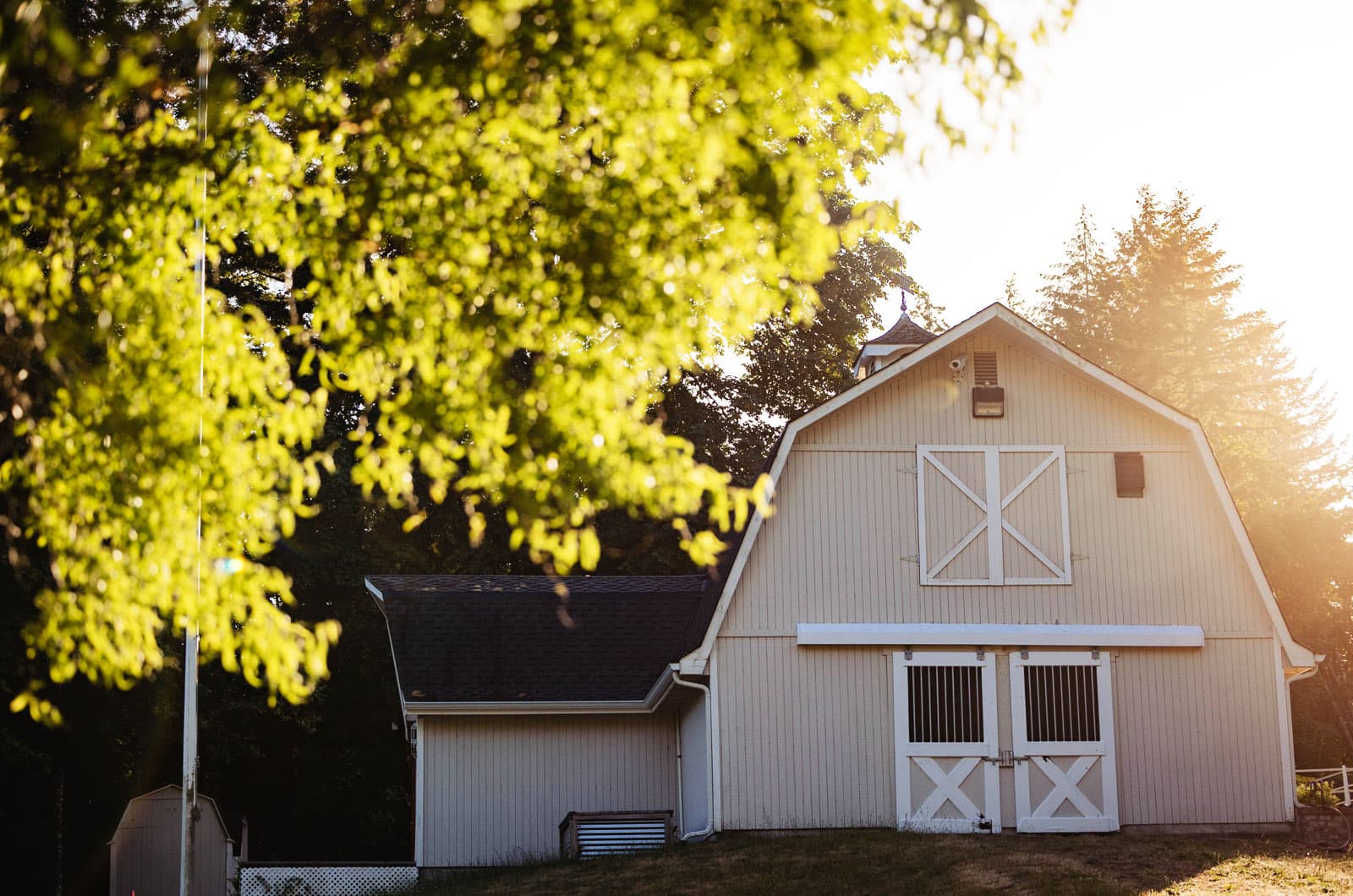 A barn with closed doors glows in golden evening light beneath the trees